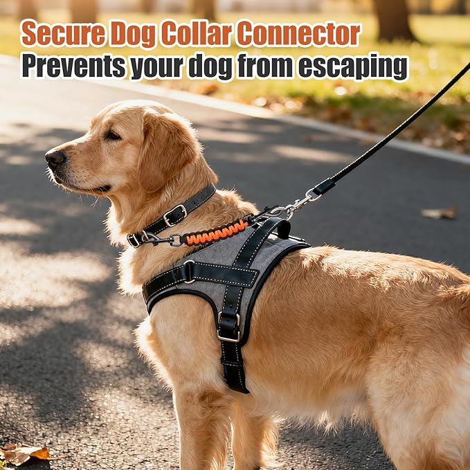 Dog Collar Safety Clip with Dual Clasps,Handmade Backup Safety Strap for Dog Harness, Collars and No Pull Harness Connectors (Black & Orange)