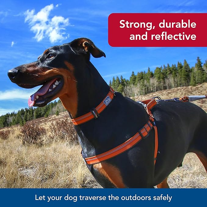 Coastal Pet K9 Explorer Reflective Adjustable Dog Collar - Comfortable Collar for the Outdoors - Durable, Lightweight Accessory with Side-Release Buckle - Berry, 1" x 12-18"