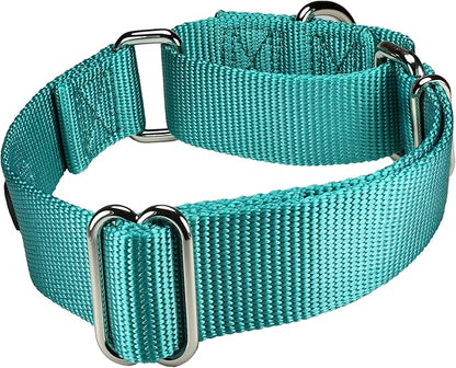 Mikivery Martingale Dog Collar Nylon Adjustable and Safety Training Colourful Comfortable Metal Buckle Pet Collars for Small Medium and Large Dogs(Teal,L)
