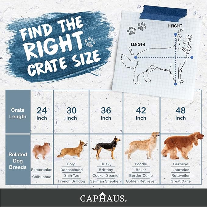 CAPHAUS Foldable Dog Crate Wire Metal Dog Kennel w/Leak-Proof Pan & Protecting Feet & Divider Panel, Single or Double Door, Small, Medium & Large Dog Crate Indoor Cage, 30” w/Single Door