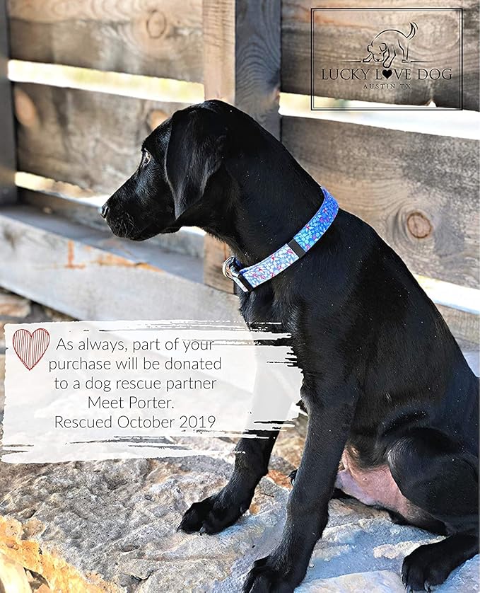 Lucky Love Dog Dog Collar, Leash Set Small, Premium, Cute and Adjustable Collars for Male and Female Dogs, Winterblue Combo, Small