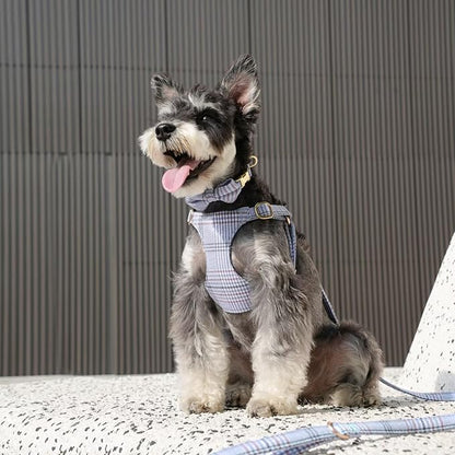 Beirui Cute Small Dog Harness Collar and Leash Set with Bowtie, Soft Adjustable Plaid Puppy Harness for Small Sized Dogs Cats Walks Parties and Photoshoots(Blue,S:Chest 17-23")