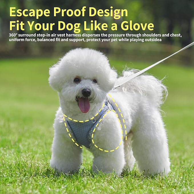 Soft Dog Harness and Leash Set for Walking, Summer Step in Vest Harness, Reflective Bands, Ultra Thin Breathable Pet Supplies, for Extra Small Dogs and House Cats Lavender XS