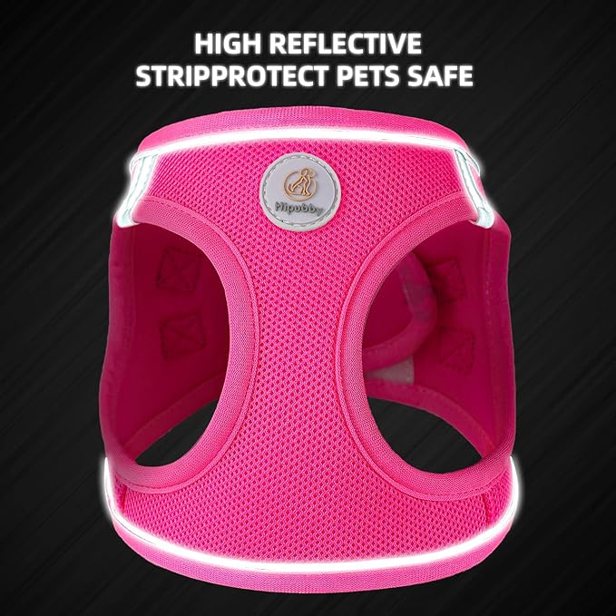 Hipubby Dog Harness and Leash Set, No Pull Soft Mesh Puppy Harness for Small Medium Dogs, Cats - Step in Reflective Breathable Lightweight Vest Harness for Walking, Training - Rose Red, XXS