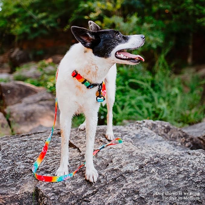 Wilderdog Waterproof Dog Collar - Repels Water & Dirt - Small 11"-15" - Tie Dye