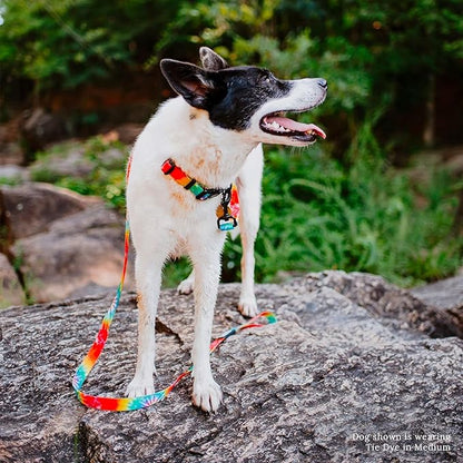 Wilderdog Waterproof Dog Collar - Repels Water & Dirt - Small 11"-15" - Tie Dye
