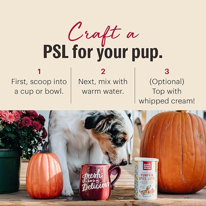 The Honest Kitchen Human Grade Pumpkin Spice Latte, 4oz Canister
