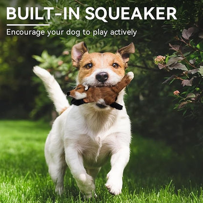 ALL FOR PAWS Squeaky Doy Toy, Fox Dog Toy for Small Medium Large Breed, Puppy Fetch Toy with Squeaker, Plush Chew Dog Toy, Classic S
