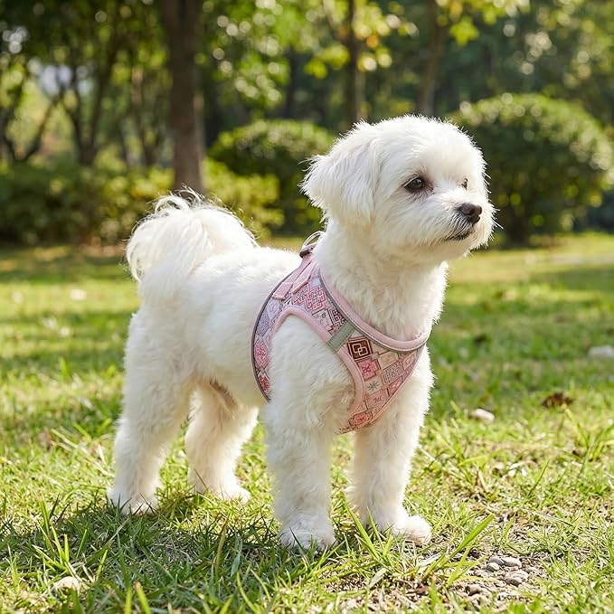 Mihqy Step in Dog Harness and Leash Set, Reflective Adjustable No Pull Dog Harness for Extra-Small/Small Dogs Puppy and Cats, Soft Padded Mesh Vest Harnesses for Girl and Boy Pets(Pink Grid,XS)