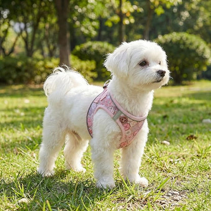 Mihqy Step in Dog Harness and Leash Set, Reflective Adjustable No Pull Dog Harness for Extra-Small/Small Dogs Puppy and Cats, Soft Padded Mesh Vest Harnesses for Girl and Boy Pets(Pink Grid,XS)