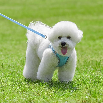 Step in Dog Harness and Leash Set, No Pull Escape Proof Vest Harness with Soft Diamond Mesh and Reflective Bands, Adjustable Pet Outdoor Harnesses for Medium Size Dogs Blue M