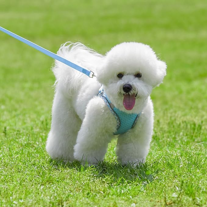 Summer Soft Dog Harness and Leash Set,Ultra Thin Breathable Diamond Mesh, Step in Adjustable Dog Harness with Padded Vest for Medium Size Dogs in Hot Weather Blue L