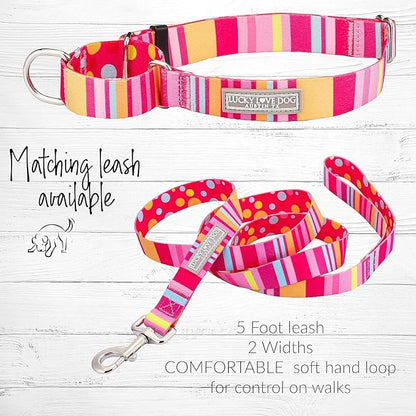 Lucky Love Dog Martingale Dog Collar & Leash - Adjustable, No-Slip, Durable, Comfortable, Soft Webbing, & Stylish Patterned Collar & Leash Set for Male and Female Dogs - Molly Combo, Large