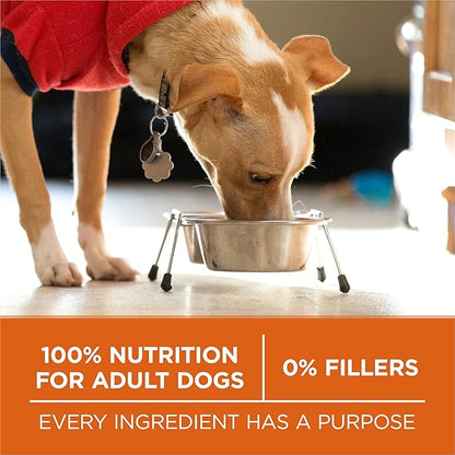Purina ONE Plus Healthy Weight High-Protein Dog Food Dry Formula - 31.1 lb. Bag