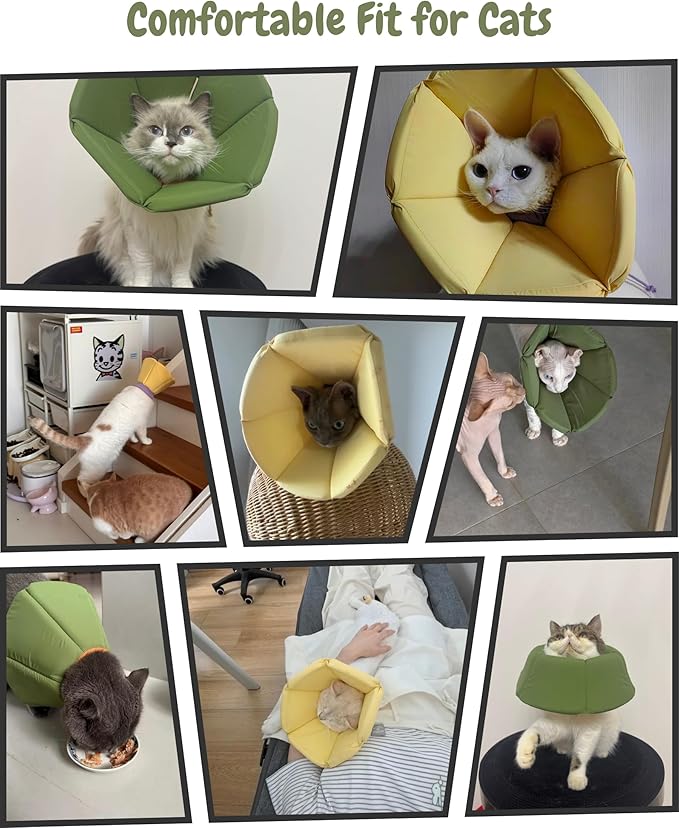 Lightweight Cat Cone Collar, Waterproof Soft Recovery E-Collar for Cats & Small Dogs, Adjustable Protective Elizabethan Collar to Prevent Licking & Biting, Easy-Clean Quick-Dry Design, Green XL Size