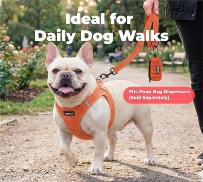 Best Pet Supplies Voyager Reflective Dog Leash or Collar with Neoprene Handle, for Small, Medium, and Large Breed Puppies, Cute and Heavy Duty for Walking, Running and Training - Orange (Leash), S