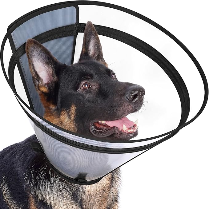 Dog Cone to Stop Licking, Clear Recovery Collar with Detachable Zipper, Sturdy Elizabethan Collar for Large Medium Small Dogs, Soft Adjustable Cone After Surgery Patented, Black L