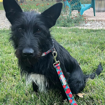 Lucky Love Dog - Adjustable Dog Collar with Easy Click Noel for Small Ones, Durable, & Comfortable for Male & Female Dogs, Pet Collar for Puppies & Adult Dogs - Noel, XS