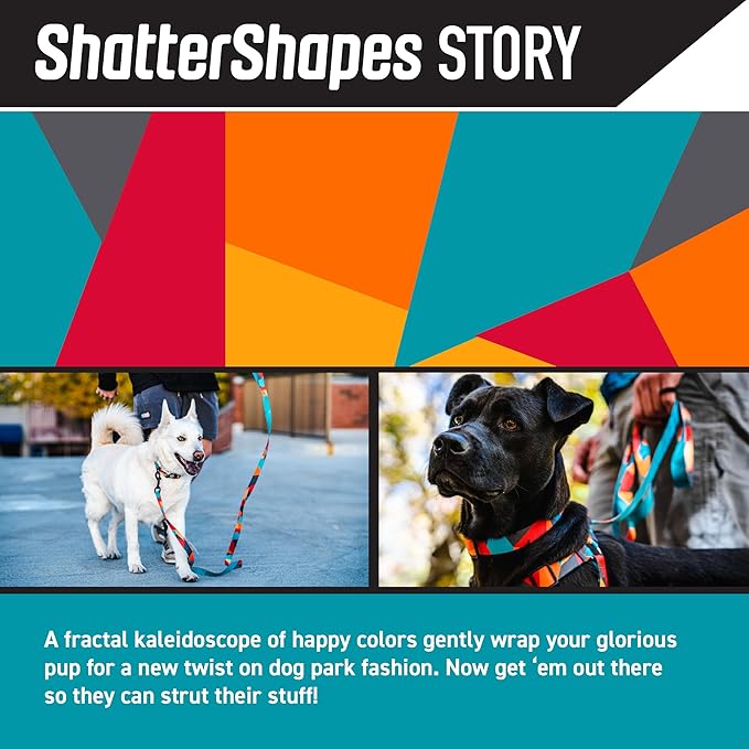 Wolfgang Heavy Duty Dog Leash, Pull-Tested for Walking & Training, ShatterShapes Print, Small