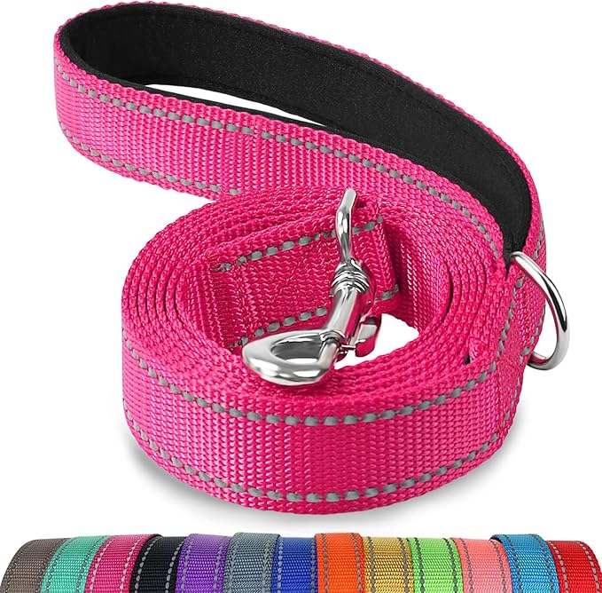 Joytale Dog Leash, 6 FT Double-Sided Reflective, Padded Handle Nylon Heavy Duty Leashes for Small Dogs Walking, Hotpink