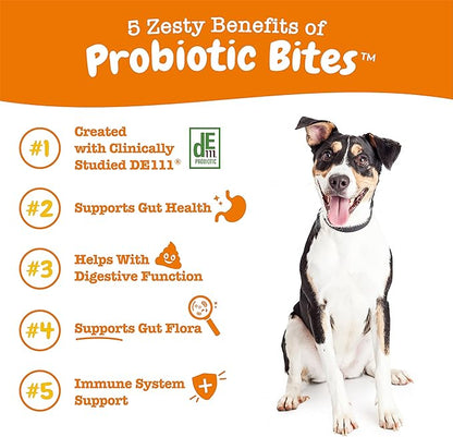 Zesty Paws Probiotics for Dogs, Digestive Enzymes Gut Flora, Digestive Health, Diarrhea & Bowel Support, DE111, Dog Probiotics Soft Chew for Pet Immune System, Chicken, 90 Ct
