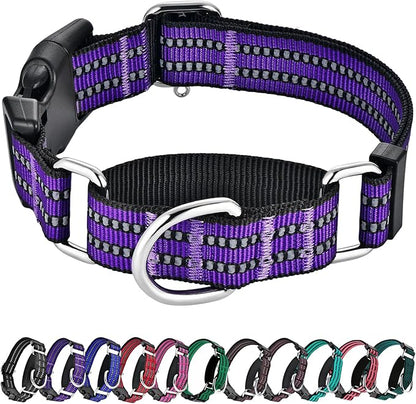 Hikiko Martingale Collar for Dogs Reflective Nylon Dog Collar with Quick Release Buckle Adjustable Training No Slip Dog Collar (X-Small, Purple)