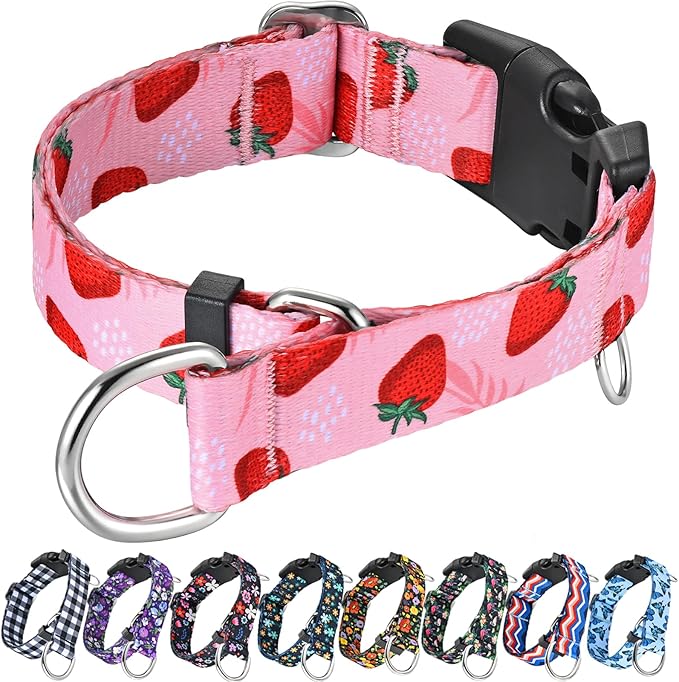 Martingale Collar for Dogs with Buckle Adjustable Nylon Slip No Pull Training Dog Collars (Pink Strawberry, Small)
