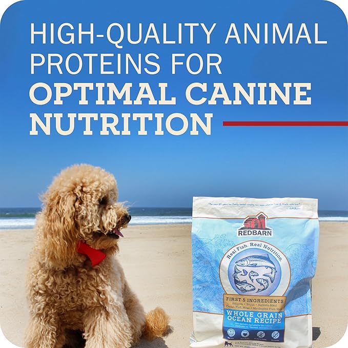 Redbarn Grain-Free Large Breed Dog Food Kibble - Beef & Lamb Recipe - Made in USA No Chicken Recipe with Functional Ingredients to Support Healthy Heart, Joints, Digestion, Skin & Coat - 15lb