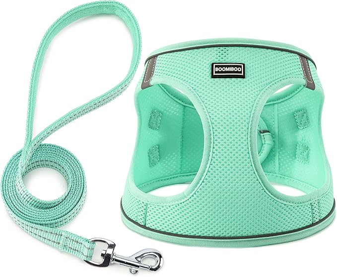 Dog Harness with Leash Set, No Pull Adjustable Reflective Step-in Puppy Pet Vest Harnesses for Small Medium Large Dogs and Cats,Green XXS