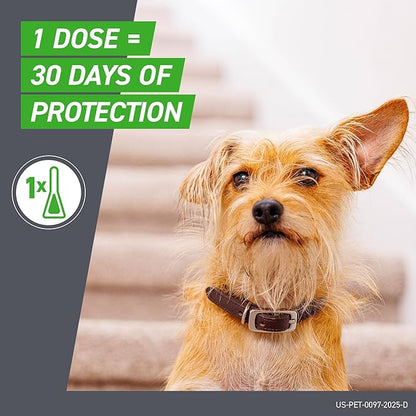 FRONTLINE Plus Flea and Tick Treatment for X-Large Dogs Up to 89 to 132 lbs. 8 Treatments