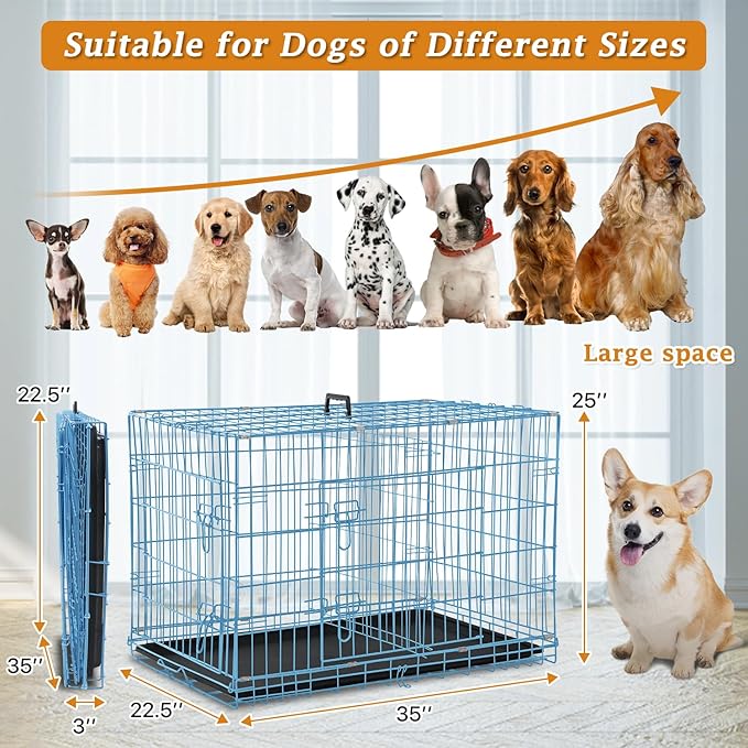 Folding Dog Crate 36" Metal Portable Outdoor Double Door Wire Large Cat Pet Dog Cage Kennel with ABS Tray LC & Divider, Blue
