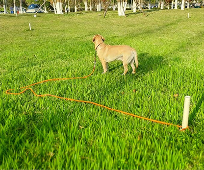 Tie Out Rope Dog Leash, 15-20-30-50-65 FT Heavy Duty Nylon Check Cord for Medium Large Dogs Indoor/Outdoor Playing Camping Backyard (Orange, 3/8" x 30ft)