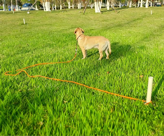 15FT Tie Out Rope Dog Lead, 20ft 30ft 50ft 65ft Long Dog Tether Nylon Check Cord for Medium Large Dogs Outdoor Camping Backyard of Leash Training Tie Down (Orange, 3/8")