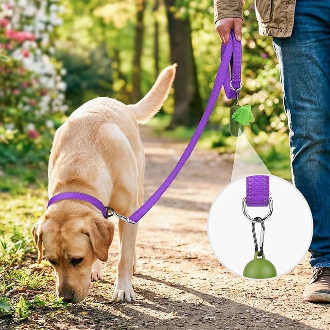 Joytale Dog Leash, 6 FT Double-Sided Reflective, Padded Handle Nylon Heavy Duty Leashes for Medium & Large Dogs Walking, Purple