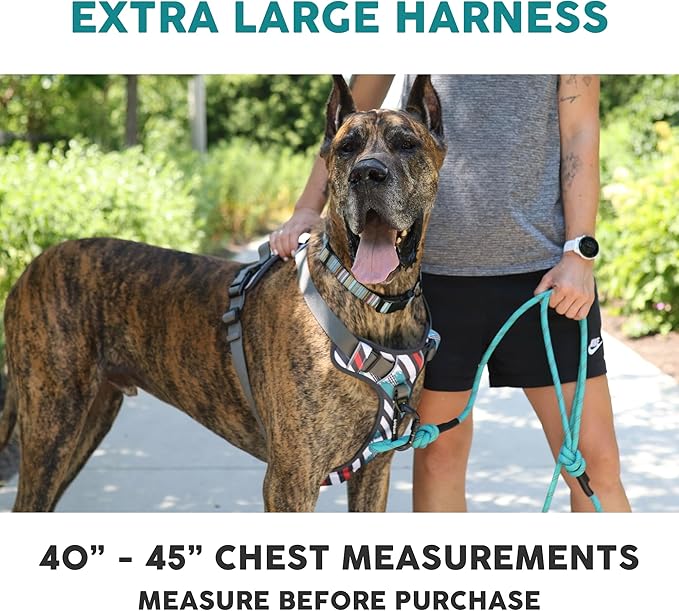 Embark Adventure Dog Harness, Reflective Trim XL Dog Harness for Extra Large Dogs No Pull - Military Grade Nylon, 2 Leash Clips & Gel Lined Handle. Soft & Padded Puppy Dog Harnesses for Any Breed