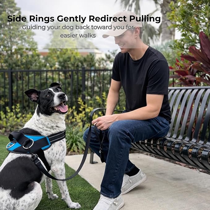 ShawnCo Essential Dog Harness, No-Pull Pet Vest with 3 Leash Clips, No Choke, Reflective, Adjustable and Padded, for Easy Walking and Training for Small, Medium and Large Dogs (White Marble, XS)