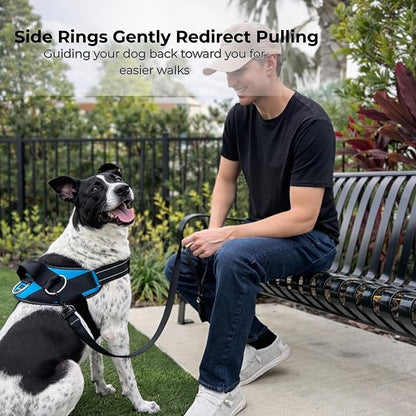 ShawnCo Essential Dog Harness, No-Pull Pet Vest with 3 Leash Clips, No Choke, Reflective, Adjustable and Padded, for Easy Walking and Training for Small, Medium and Large Dogs (Driftwood, M)