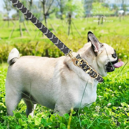 Leather Dog Collar and Leash Set, Check Pattern Dog Collar Leashes Metal Buckle Adjustable Durable for Small Medium Large Dogs (Black, L(14.5-18.5IN))