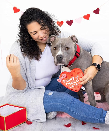 Pearhead Valentine’s Day Plush Dog Toy – Barks of Chocolate Box Squeaky & Crinkle Stuffed Dog Toy, Interactive for Dogs