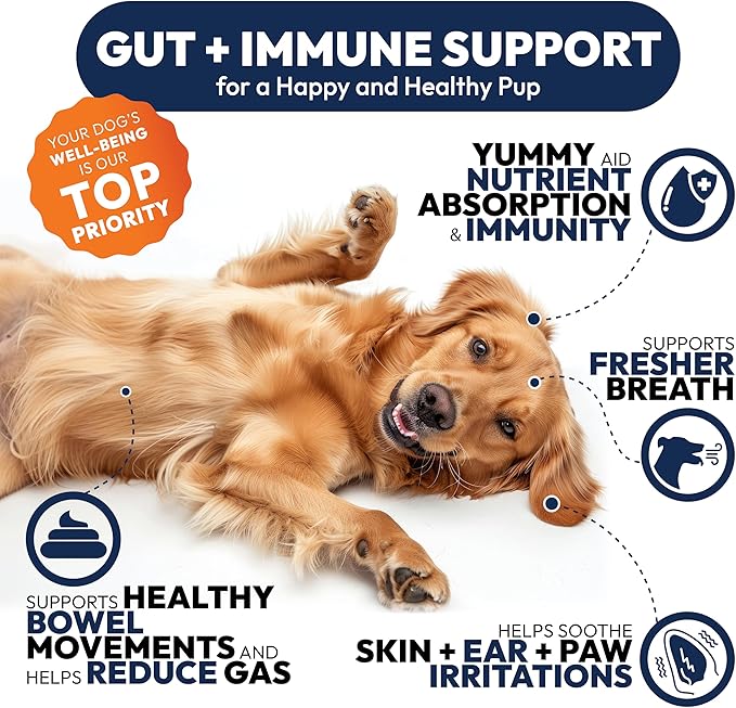 Probiotics for Dogs - 250 Dog Probiotics Chews - Digestive Enzymes & Prebiotics - Support Gut Health, Diarrhea, Gas & Constipation Relief - Itchy Skin, Allergies, Yeast Balance - Advanced Supplement