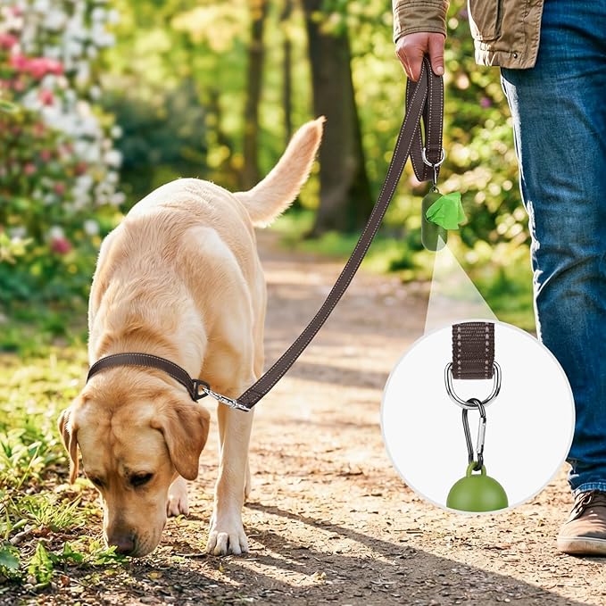 Joytale Double-Sided Reflective Dog Leash, 6 FT/5 FT/4 FT, Padded Handle Nylon Heavy Duty Leashes for Medium & Large Dogs Walking, Brown, 6FT