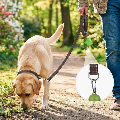 Joytale Double-Sided Reflective Dog Leash, 4 FT, Padded Handle Nylon Heavy Duty Leashes for Medium & Large Dogs Walking, Brown