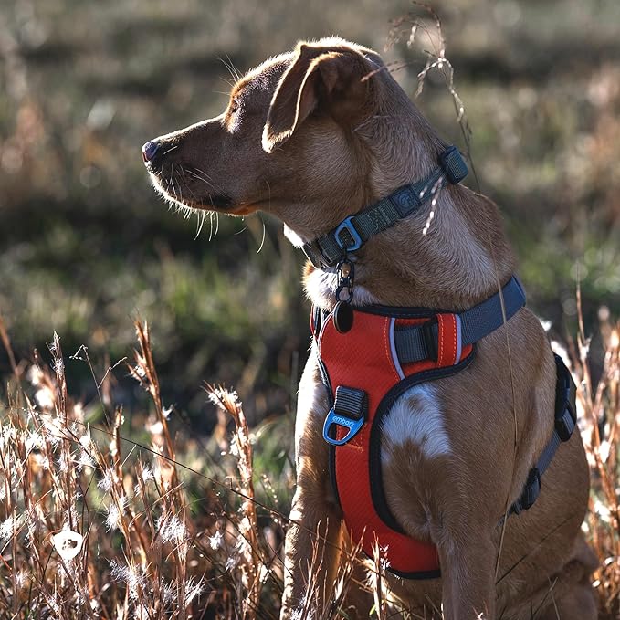 Embark Adventure No-Pull Dog Harness for Large Dogs – Reflective, Military-Grade Nylon, Front Clip Design, Gel-Lined Control Handle