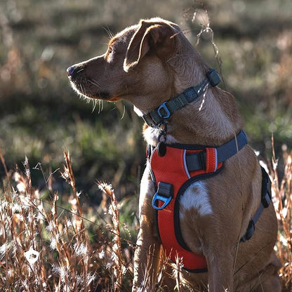 Embark Adventure No-Pull Medium Dog Harness – Reflective Trim, Military-Grade Nylon, Front Clip with Gel-Lined Handle