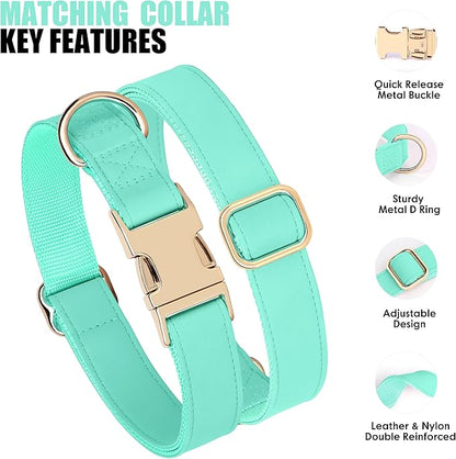 PET ARTIST Soft PU Leather Dog Collar and Leash Set, Bright & Stylish 5FT PU Leather Leash and Collar Set, Durable Pet Collars with Quick Release Metal Buckle for Large Dogs,Mint Green,L(16-27")