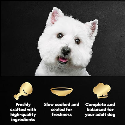 Cesar Filets in Gravy Wet Dog Food Filet Mignon Flavor and Rotisserie Chicken Flavor Variety Pack,Wet Food for Dogs,1.76 oz. Mini-Pouches,20 Count (Pack of 4)