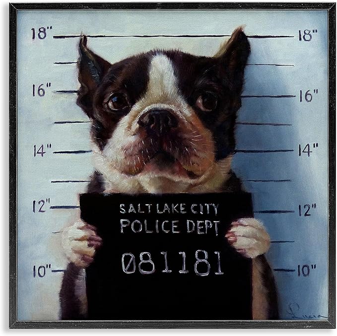 Stupell Industries Funny Boston Terrier Dog Jail Convicted Police, Design by Lucia Heffernan