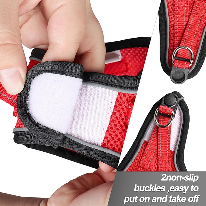 Dog Harness for Small Dogs and Leash Set, Honeycomb Grid, Reflective Lightweight Harness & Anti-Twist Pet Lead Multi Color, Size: XS-S-M. (M, Black & Red)