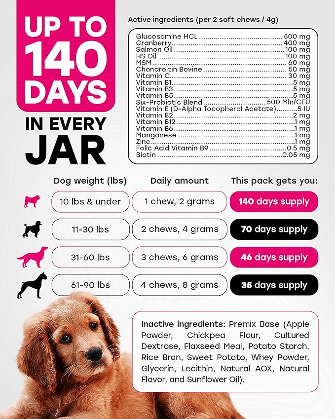 24-in-1 Daily Multivitamin Dog Chews – Joint, Skin & Coat, Digestion & Immunity Support – Glucosamine, Omega-3, Probiotics for Gut Health – PhD-Endorsed, 140 Chews, Bacon Flavor
