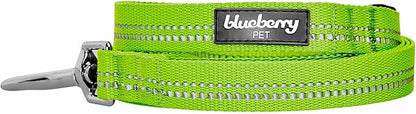 Blueberry Pet 3M Reflective Pastel Color Dog Leash with Soft & Comfortable Handle, 4 ft x 1", Green Flash, Large, Leashes for Dogs